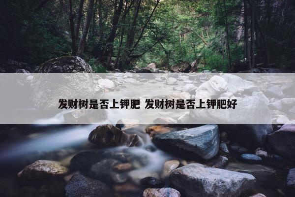 发财树是否上钾肥 发财树是否上钾肥好