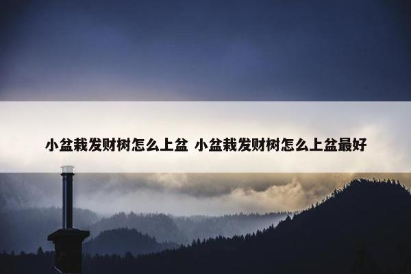 小盆栽发财树怎么上盆 小盆栽发财树怎么上盆最好