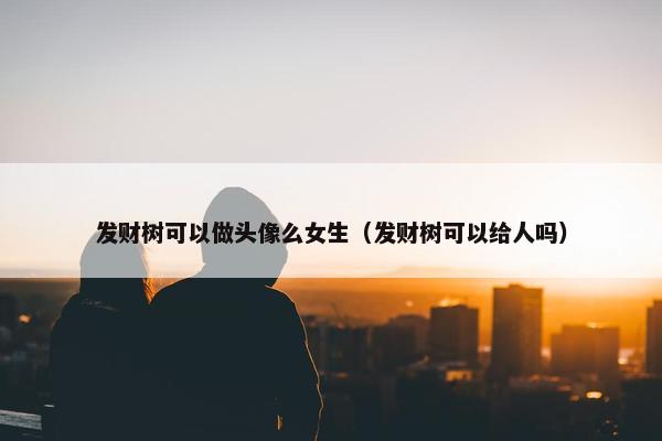 发财树可以做头像么女生（发财树可以给人吗）