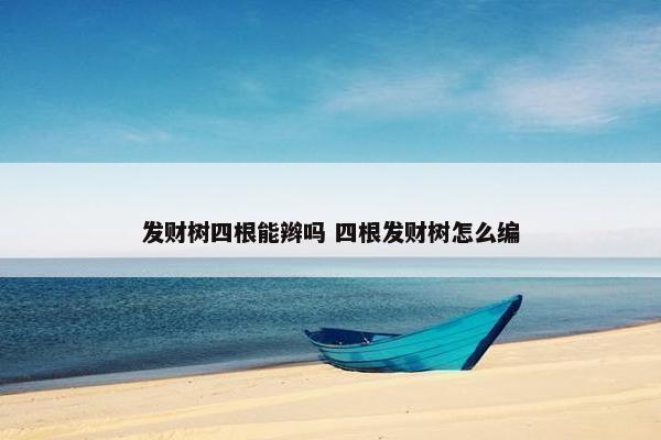 发财树四根能辫吗 四根发财树怎么编