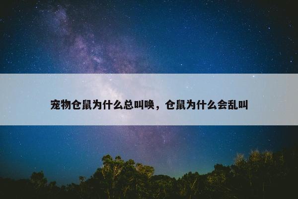 宠物仓鼠为什么总叫唤，仓鼠为什么会乱叫