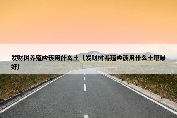 发财树养殖应该用什么土（发财树养殖应该用什么土壤最好）