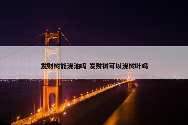 发财树能浇油吗 发财树可以浇树叶吗