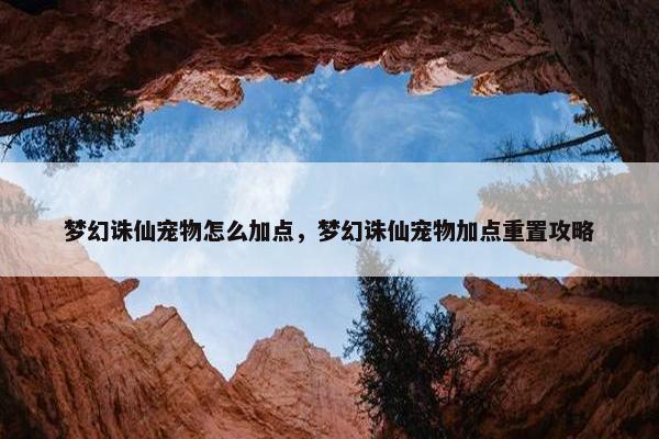 梦幻诛仙宠物怎么加点，梦幻诛仙宠物加点重置攻略