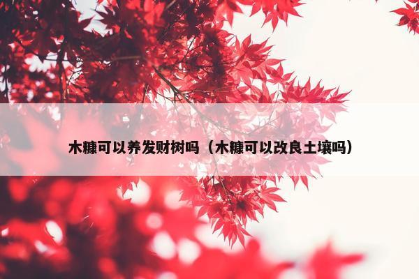 木糠可以养发财树吗（木糠可以改良土壤吗）