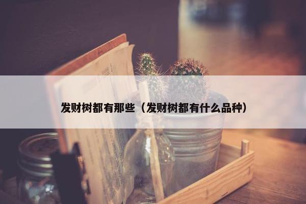 发财树都有那些（发财树都有什么品种）