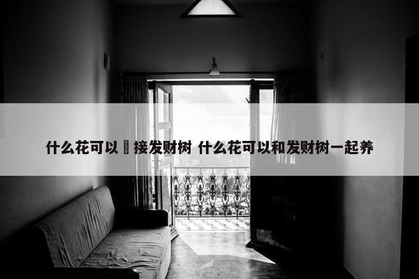 什么花可以榢接发财树 什么花可以和发财树一起养