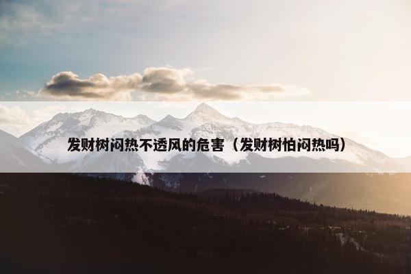 发财树闷热不透风的危害（发财树怕闷热吗）