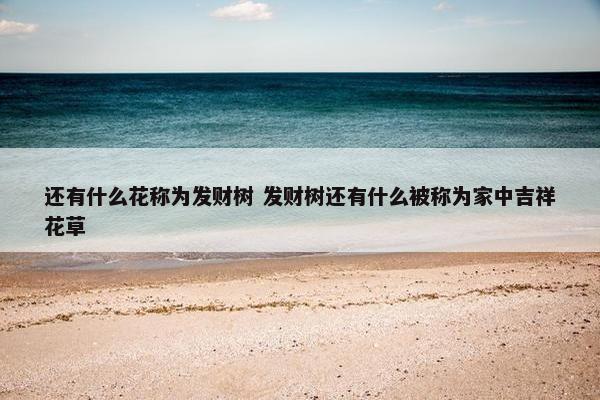 还有什么花称为发财树 发财树还有什么被称为家中吉祥花草