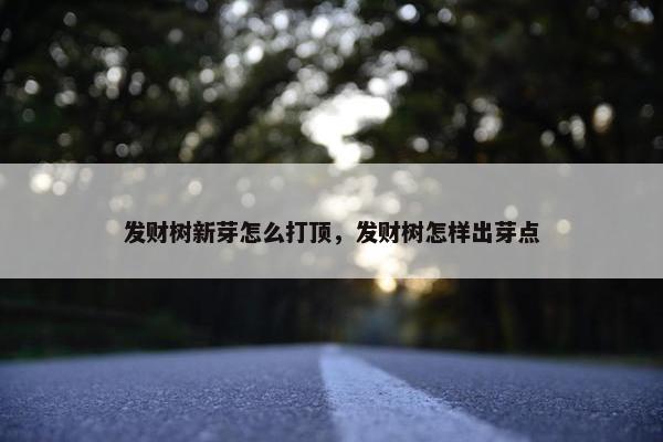 发财树新芽怎么打顶，发财树怎样出芽点