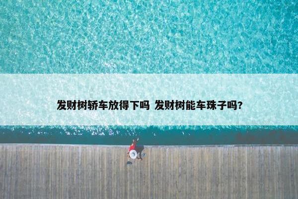 发财树轿车放得下吗 发财树能车珠子吗?