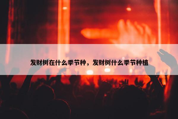 发财树在什么季节种，发财树什么季节种植