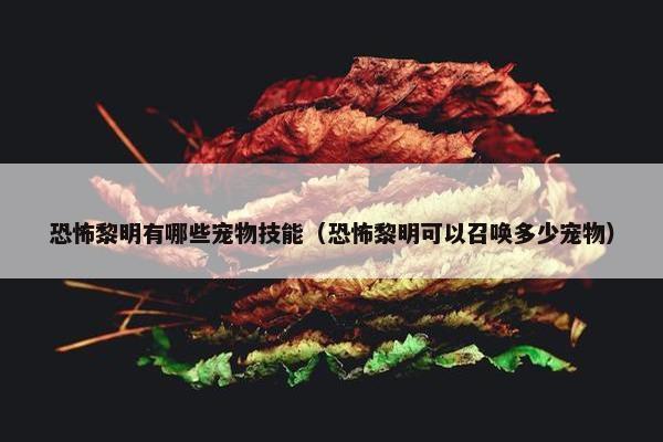 恐怖黎明有哪些宠物技能（恐怖黎明可以召唤多少宠物）