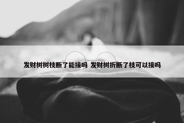 发财树树枝断了能接吗 发财树折断了枝可以接吗