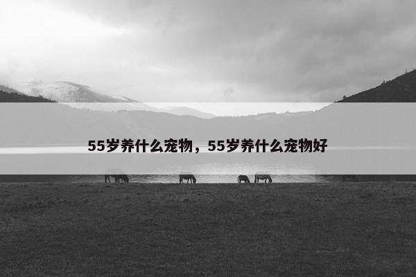 55岁养什么宠物，55岁养什么宠物好