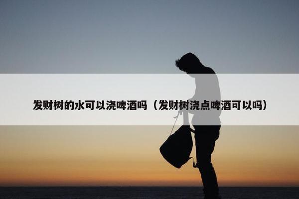 发财树的水可以浇啤酒吗（发财树浇点啤酒可以吗）