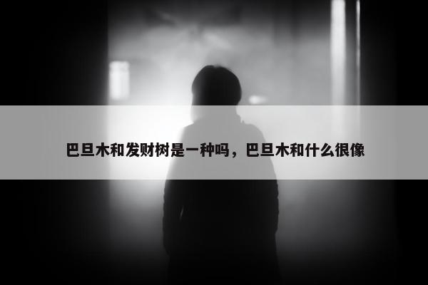 巴旦木和发财树是一种吗，巴旦木和什么很像