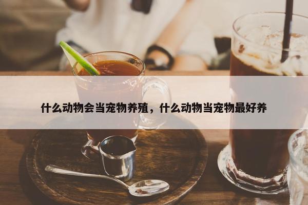 什么动物会当宠物养殖，什么动物当宠物最好养