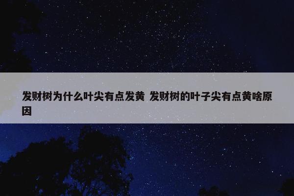 发财树为什么叶尖有点发黄 发财树的叶子尖有点黄啥原因