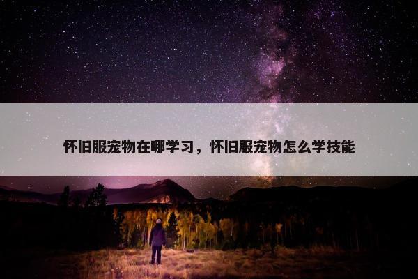 怀旧服宠物在哪学习，怀旧服宠物怎么学技能