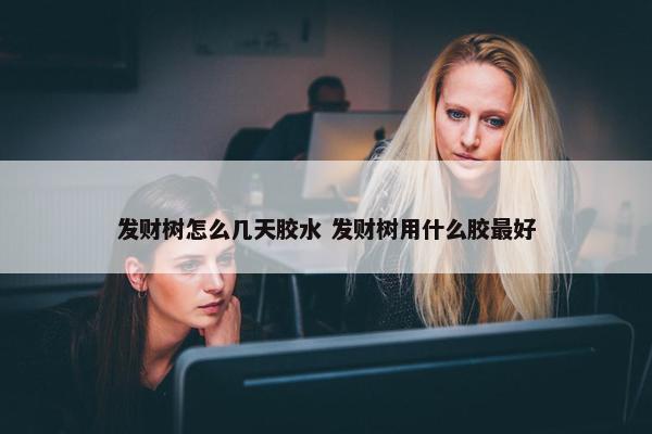 发财树怎么几天胶水 发财树用什么胶最好