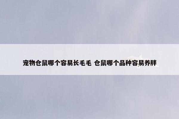 宠物仓鼠哪个容易长毛毛 仓鼠哪个品种容易养胖