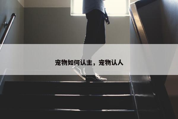 宠物如何认主，宠物认人