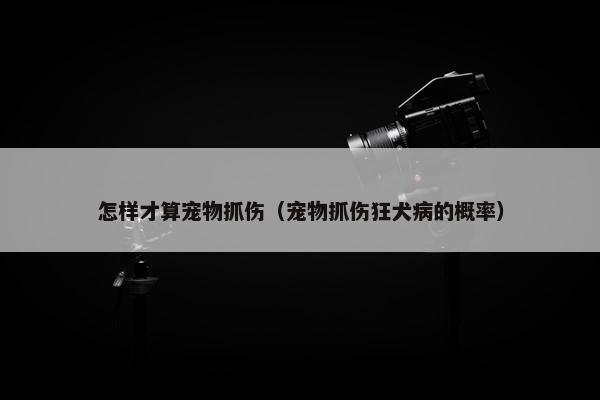 怎样才算宠物抓伤（宠物抓伤狂犬病的概率）