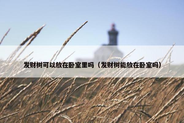 发财树可以放在卧室里吗（发财树能放在卧室吗）