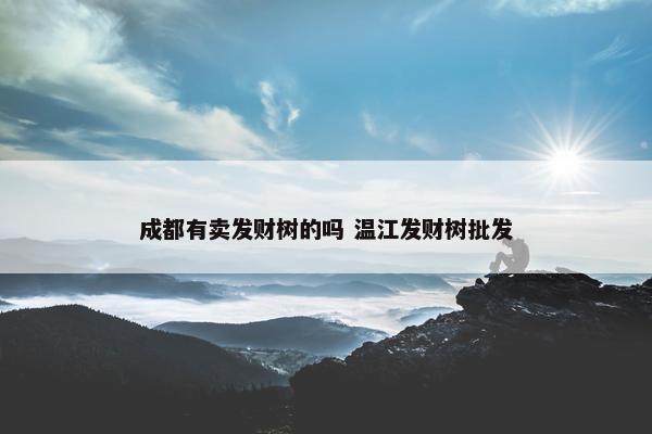 成都有卖发财树的吗 温江发财树批发