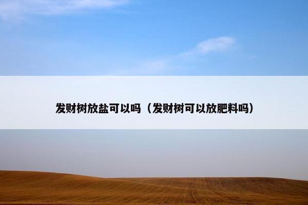 发财树放盐可以吗（发财树可以放肥料吗）