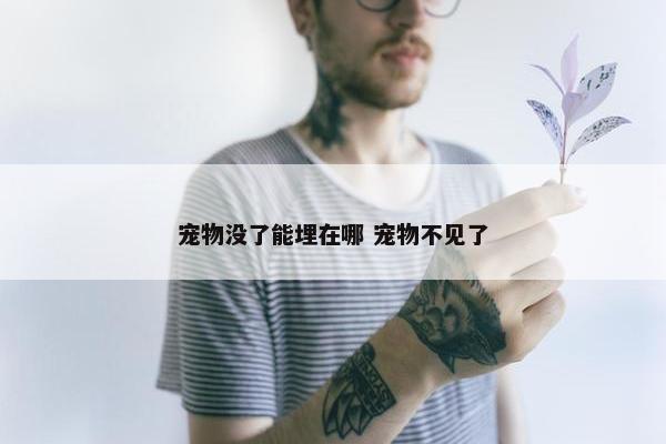 宠物没了能埋在哪 宠物不见了