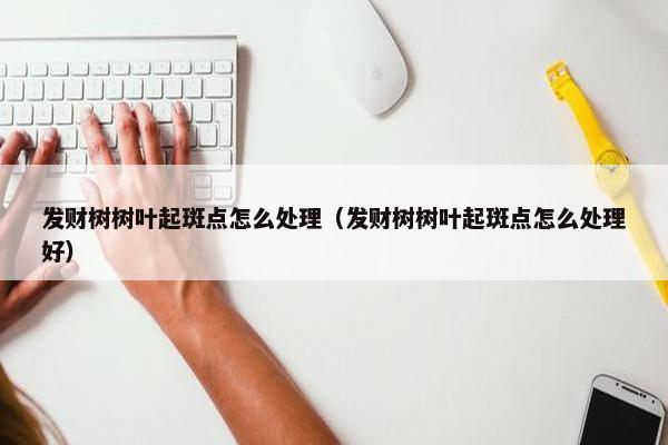 发财树树叶起斑点怎么处理（发财树树叶起斑点怎么处理好）