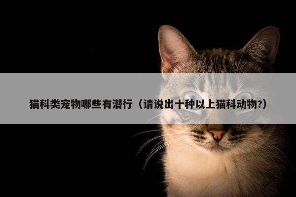 猫科类宠物哪些有潜行（请说出十种以上猫科动物?）