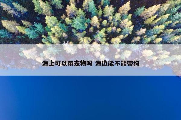 海上可以带宠物吗 海边能不能带狗