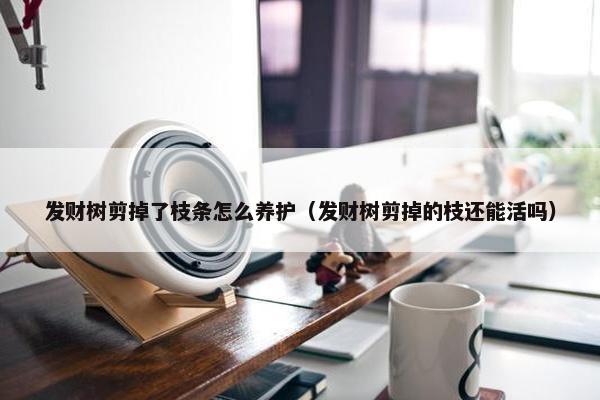 发财树剪掉了枝条怎么养护（发财树剪掉的枝还能活吗）