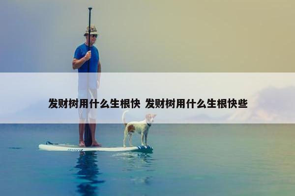 发财树用什么生根快 发财树用什么生根快些