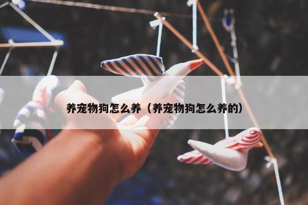 养宠物狗怎么养（养宠物狗怎么养的）