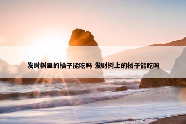 发财树里的橘子能吃吗 发财树上的橘子能吃吗