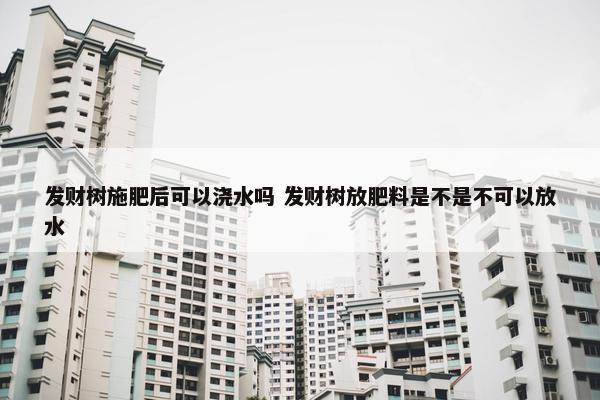 发财树施肥后可以浇水吗 发财树放肥料是不是不可以放水