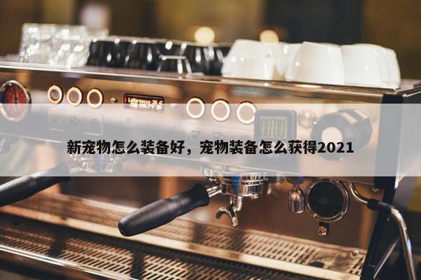 新宠物怎么装备好，宠物装备怎么获得2021