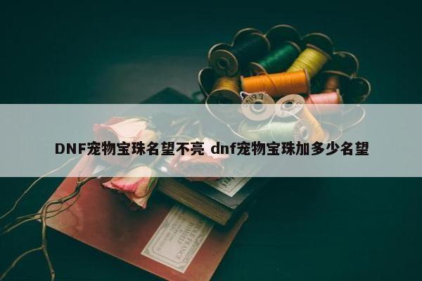 DNF宠物宝珠名望不亮 dnf宠物宝珠加多少名望