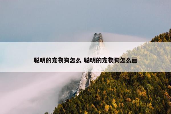 聪明的宠物狗怎么 聪明的宠物狗怎么画