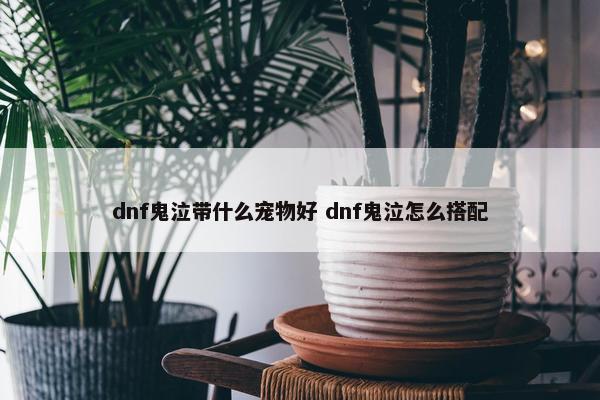 dnf鬼泣带什么宠物好 dnf鬼泣怎么搭配