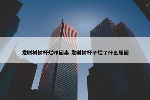 发财树树杆烂咋回事 发财树杆子烂了什么原因