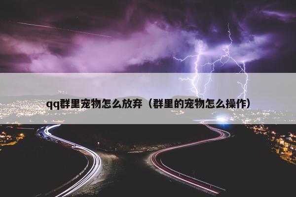 qq群里宠物怎么放弃（群里的宠物怎么操作）