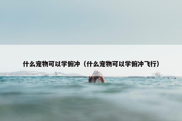 什么宠物可以学俯冲（什么宠物可以学俯冲飞行）