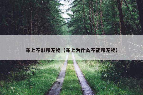 车上不准带宠物（车上为什么不能带宠物）