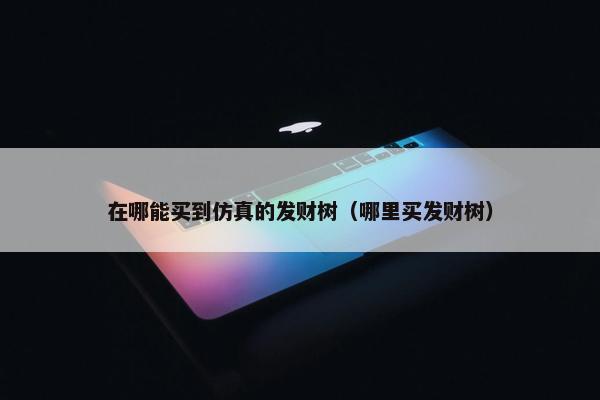 在哪能买到仿真的发财树（哪里买发财树）