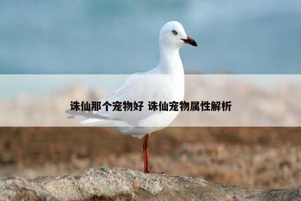 诛仙那个宠物好 诛仙宠物属性解析